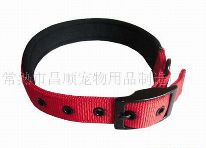 Dog collar